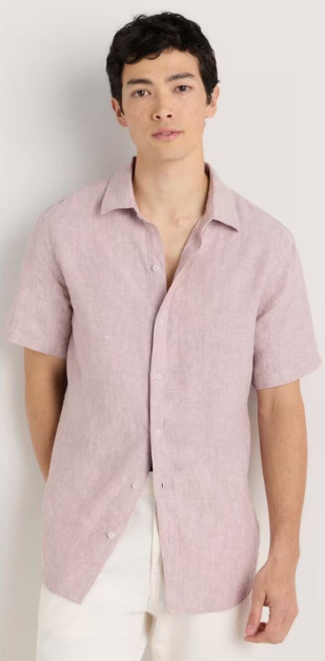 Quince Men's Large European Linen Relaxed Short Sleeve Shirt - Pink Chambray